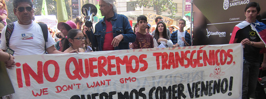 Demonstration gegen Monsanto in Santiago de Chile am 1. August 2013.