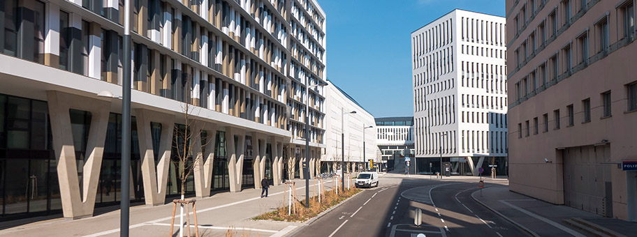 Leere Strassen in Wien, 18.