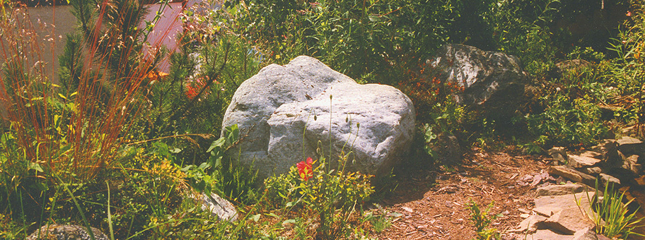 Ökologix