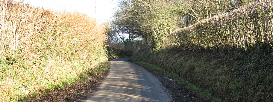 Witches Lane near Witches Cottage.