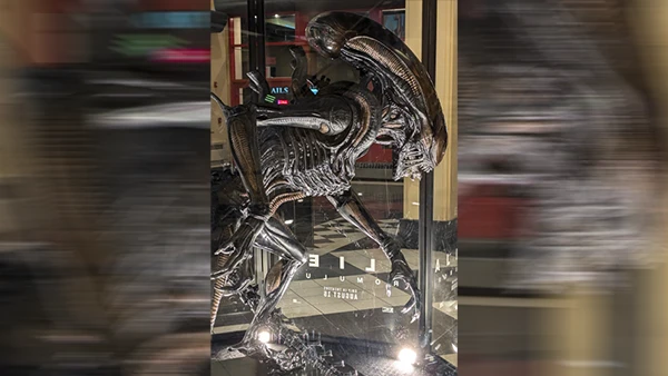 Xenomorph aus dem Film Alien: Romulus.