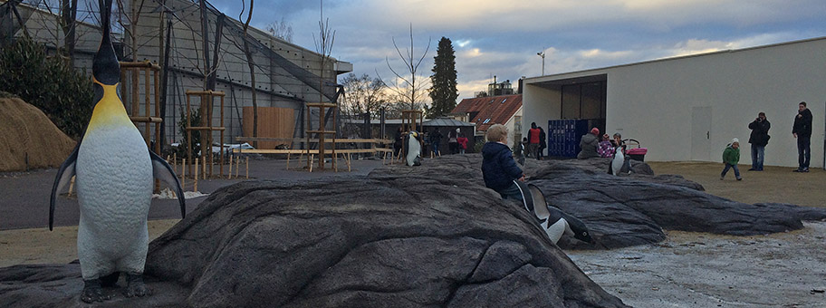 Zoo Zürich: Platz am Eingang mit Vorstellung verschiedener Pinguinarten.