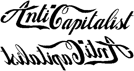 Anti Capitalist