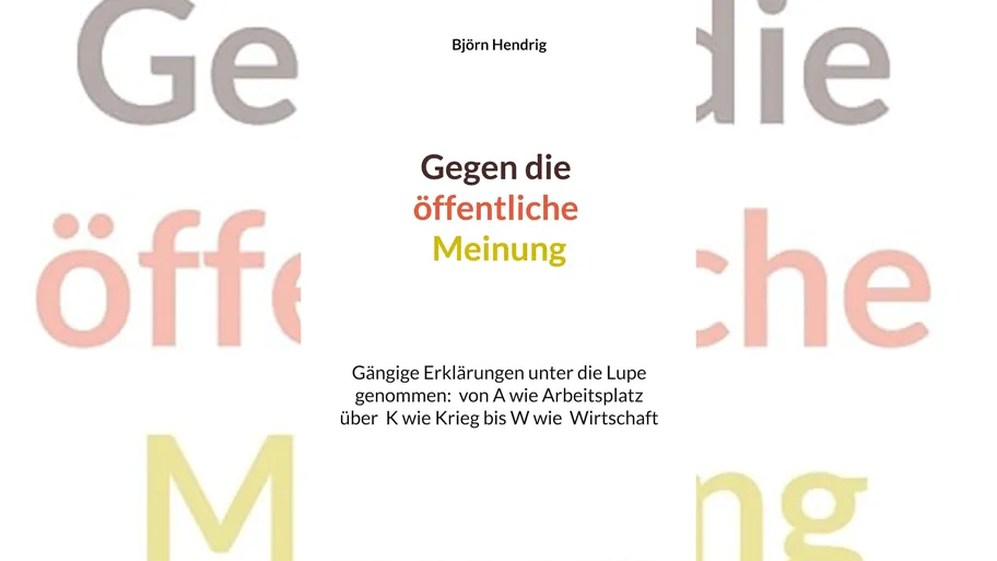 Was leistet die Gegenöffentlichkeit?