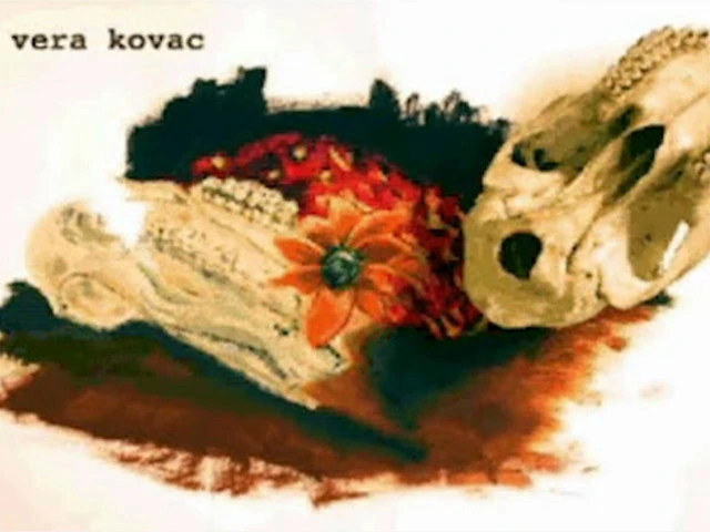 Vera Kovac - Galeria.