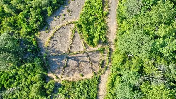Hambacher Forst - Hambi.