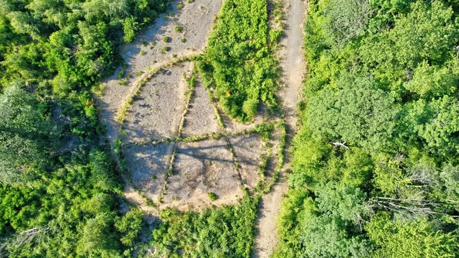 Hambacher Forst - Hambi.