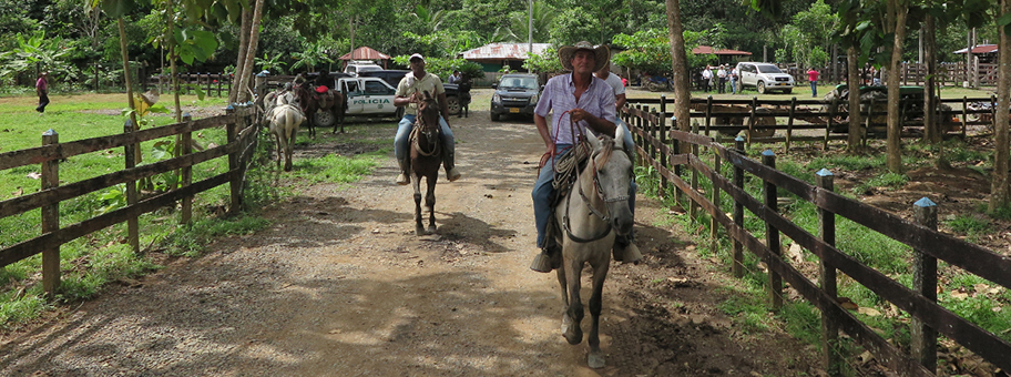 Erstmals seit Jahren haben die Kleinbauern und -bäuerinnen in Macondo etwas zu feiern: die Rückgabe von drei Grundstücken.