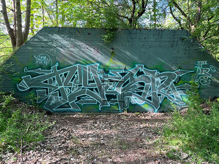 Graffiti Art