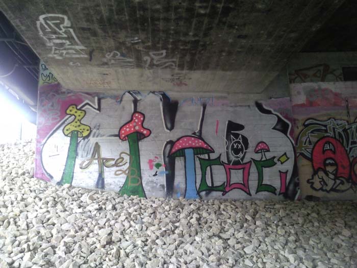 Graffiti Art