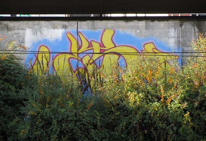 Graffiti Art