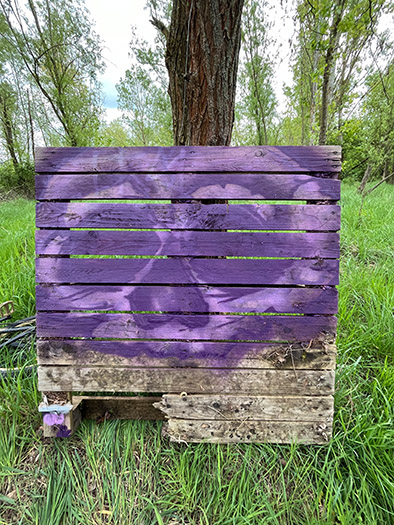 Vandal Art